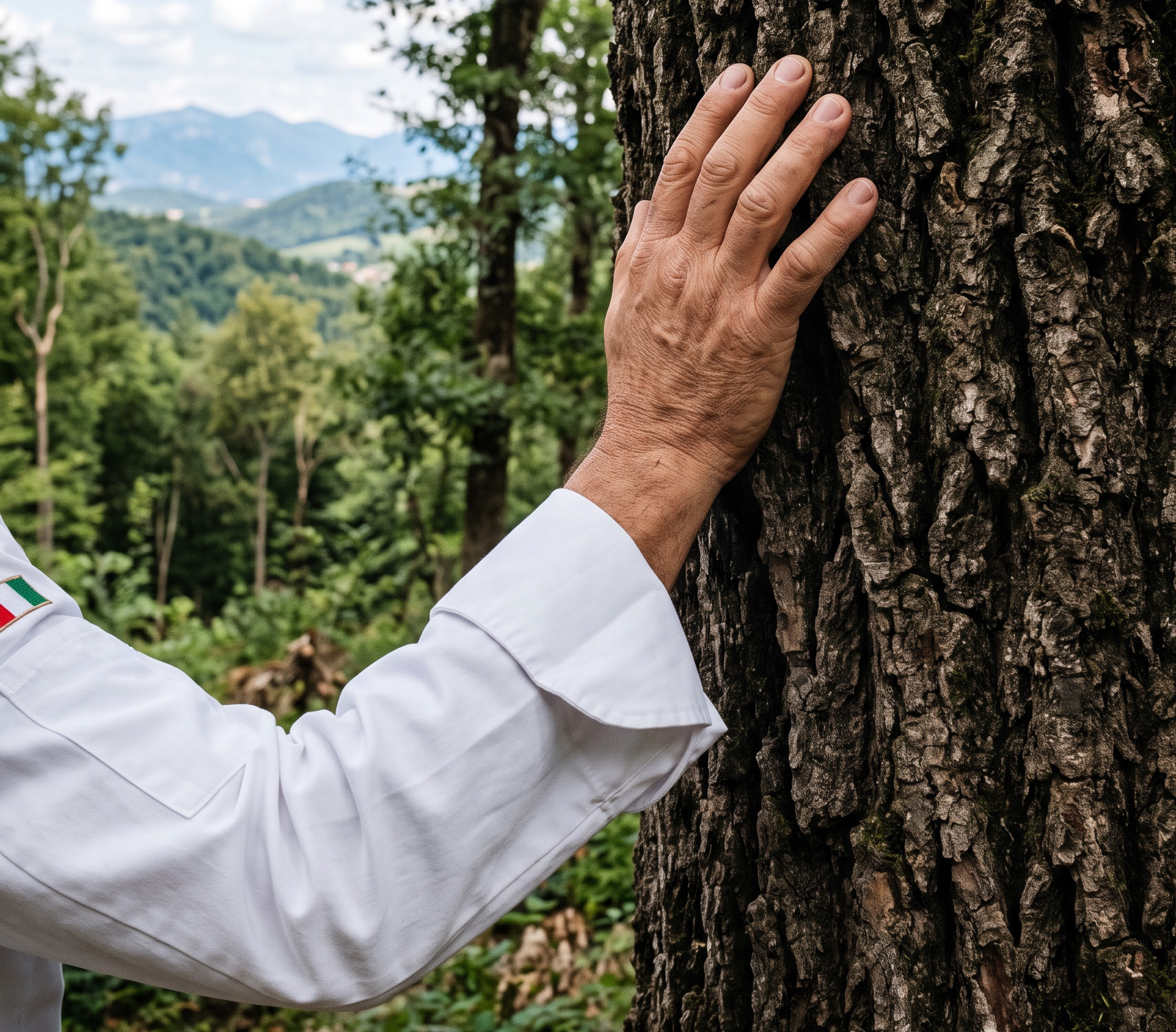 Una mano appoggiata al tronco di un albero